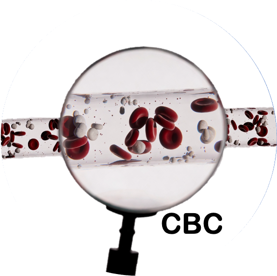 Complete Blood Count panel