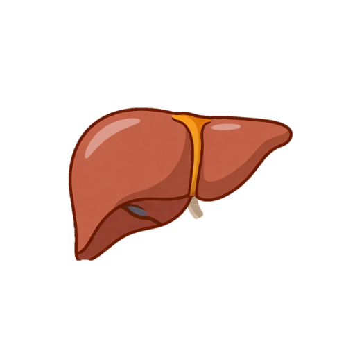liver function panel