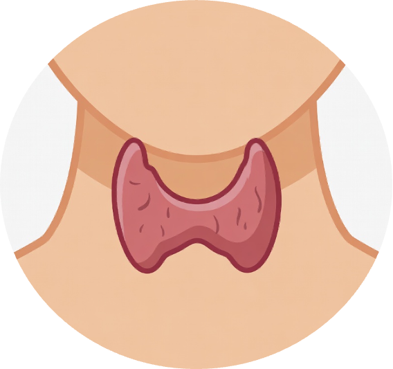 Thyroid test